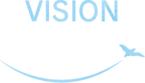 VISION